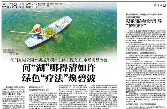 《南方日?qǐng)?bào)》江門東湖公園：?jiǎn)枴昂蹦牡们迦缭S 綠色“療法”煥碧波