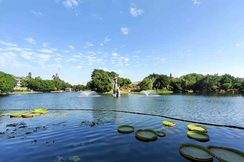 佛山禪城區(qū)石灣公園水質(zhì)提升項目